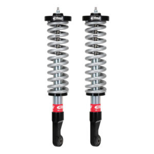 E86-82-067-01-20: EIB Pro-Truck Coilovers