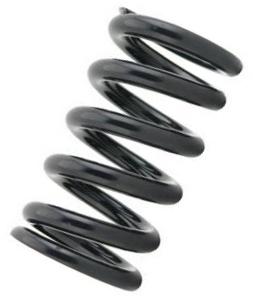 SC060-01250: TEIN Coilover Spring - 250mm