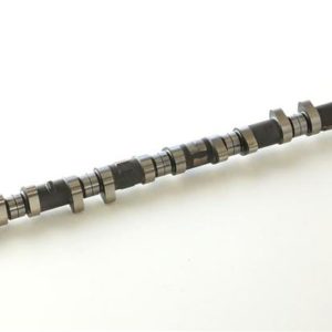 hks2202-RN127: HKS Camshafts