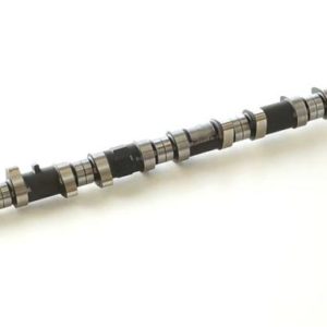 hks2202-RT080: HKS Camshafts